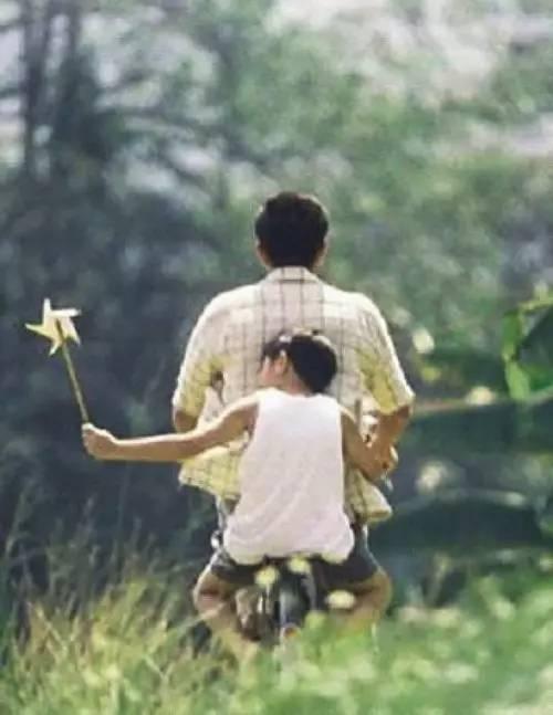 老爸春天在线观看,温馨家庭时光，在线共赏温情瞬间  第3张