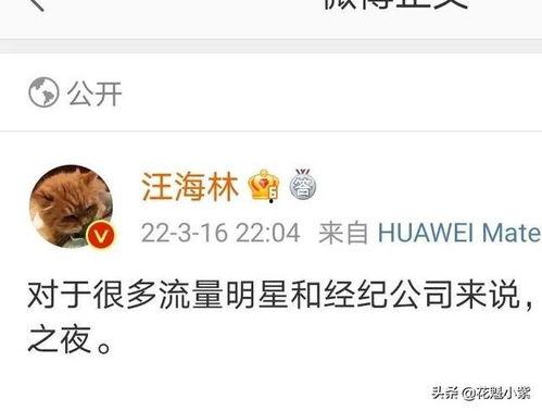 爆料娱乐圈的瓜最新,明星隐私大揭秘，真相令人震惊！  第3张